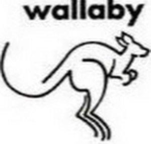 Wallaby 46