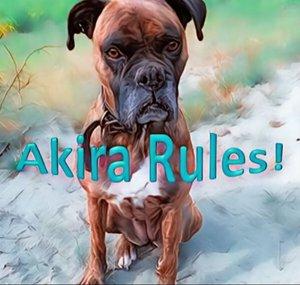 Akira Rules 🐶