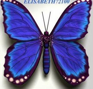 elisabeth72100