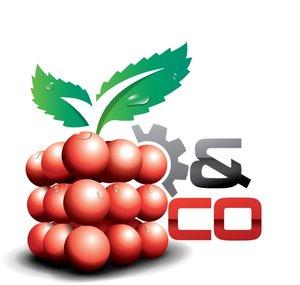 Raspberry & Co
