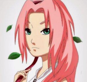SaKuRaKuNoIcHi2012