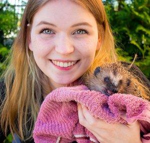 Sarahs wilder Pflanzenzirkus