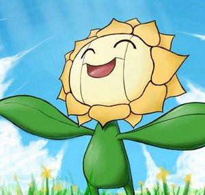 Sunflowerr Jo