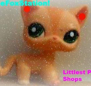 TheFoxStation