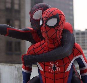 TheLonelySpider