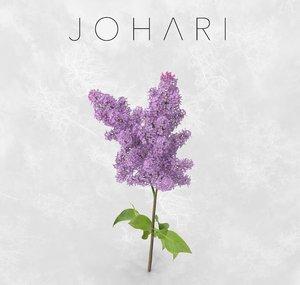Johari