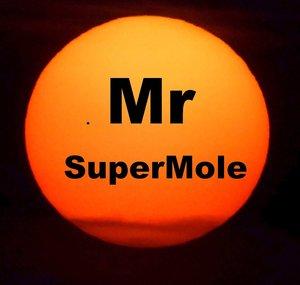 Mr SuperMole