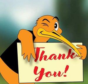 Thank You Kiwi