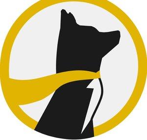 Underdog Daily