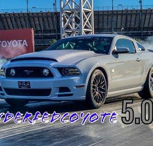 Underfedcoyote 5.0