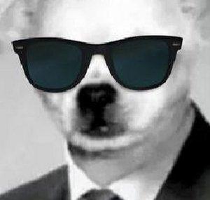 Vasu