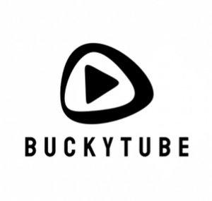 Buckytube