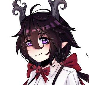 Hirudinea