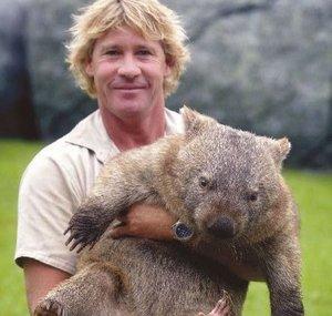 Magic Wombat