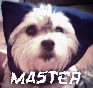 MasterGraphics™