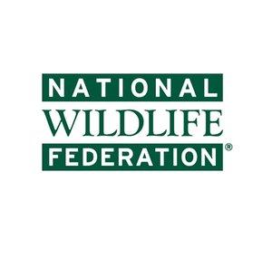 NWFblogs