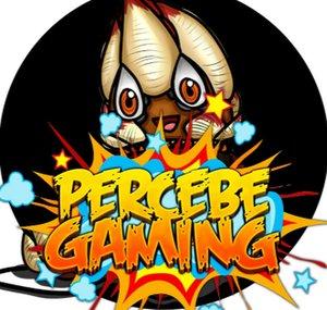 Percebe GaMinG