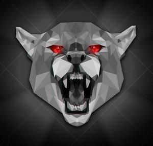 Puma Lives