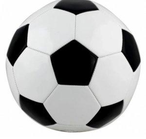 TAYLOR SPORTS