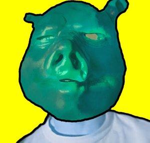 BayPig