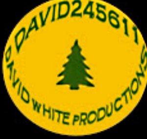 David245611