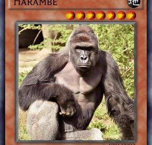 DecksOutForHarambe