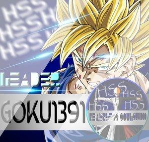 Goku1391