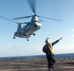saltyshellback