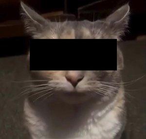 That Redacted User