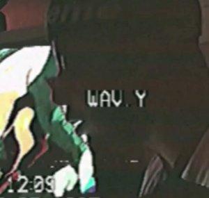 wav.yliving 波打つ