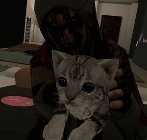 XxEnzo