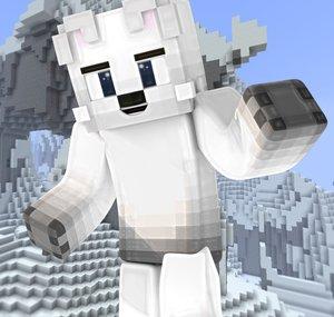 Arcticle