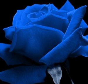 Azure Shade
