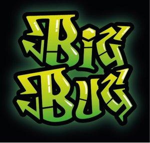Big Bug