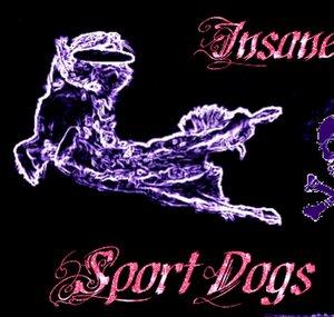 InsaneSportDogs