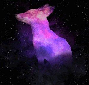 Lovable BlueFox