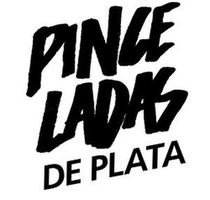 Pinceladasdeplata