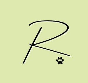 Raleigh: Be Kind Clever Curious