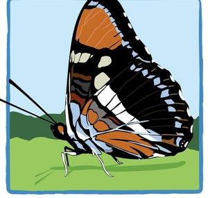 UC Environmental Stewards