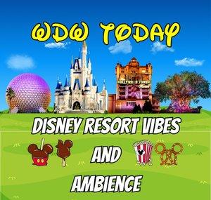 WDW Today