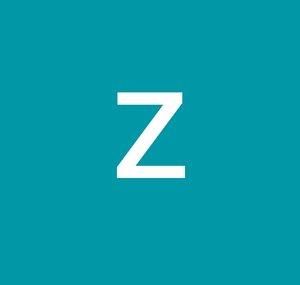 zippertoecho