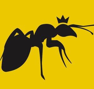 Ants Italia