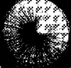 BLIND-SP0T 