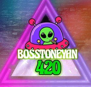 BosStoneyan_420