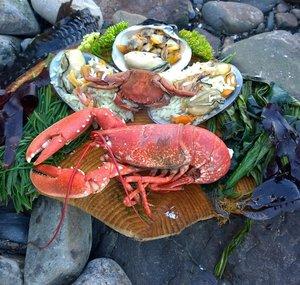 Coastal Foraging With Craig Evans