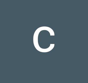 crispysvlog