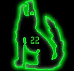 DesertCoyote22