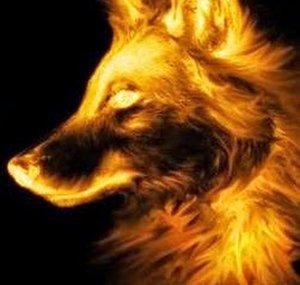 FlameDawg777