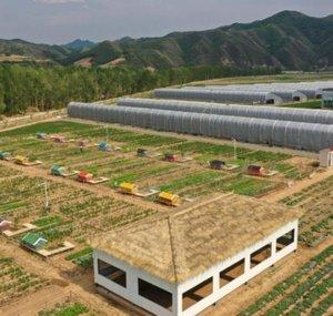 Interesting Tasty Farm