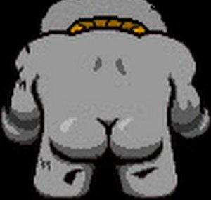 Isaac Daily Runs